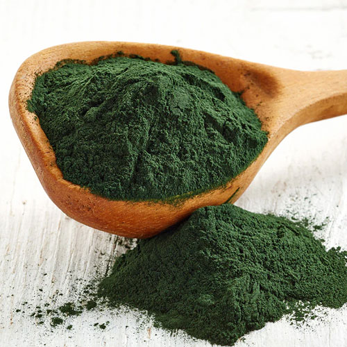 Certified Spiruline Powder 100g Manufacturer & Exporter